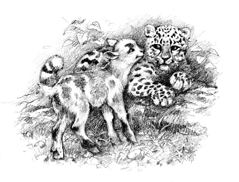 Illustration from “The Cub and the Leopard”