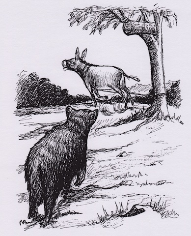 Illustration from “The Bear and the Woman”