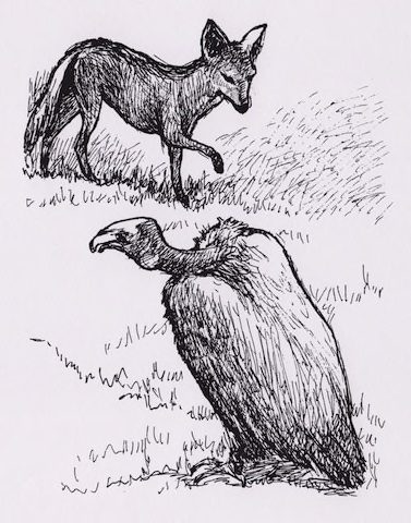 Illustration from “Deya Ali and the Thieves”