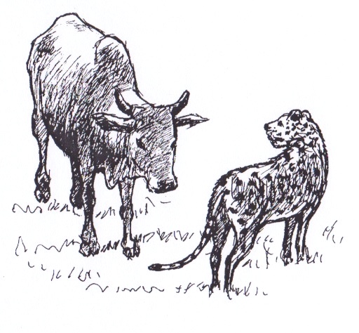 Illustration from “The Farmer and the Leopard”